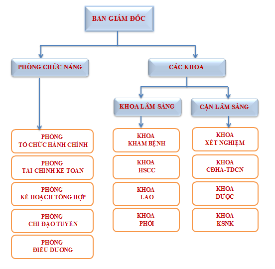 Sơ đồ Cơ cấu tổ chức Hành chính bệnh viện Lao và Bệnh Phổi Bến Tre